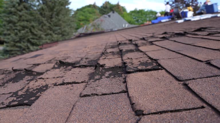 Best Emergency Roof Repair  in Drexel Heights, AZ