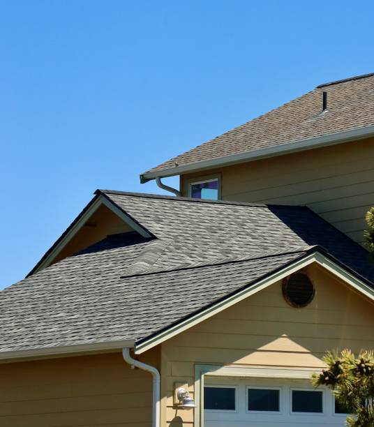 Best Roof Maintenance and Cleaning  in Drexel Heights, AZ